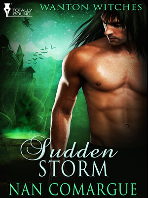 cover image of Sudden Storm